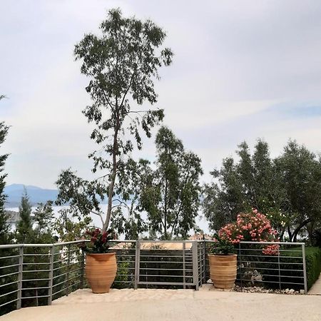 Tolón Stone House In Olive Grove 빌라 외부 사진