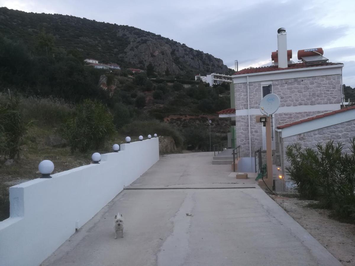 Tolón Stone House In Olive Grove 빌라 외부 사진