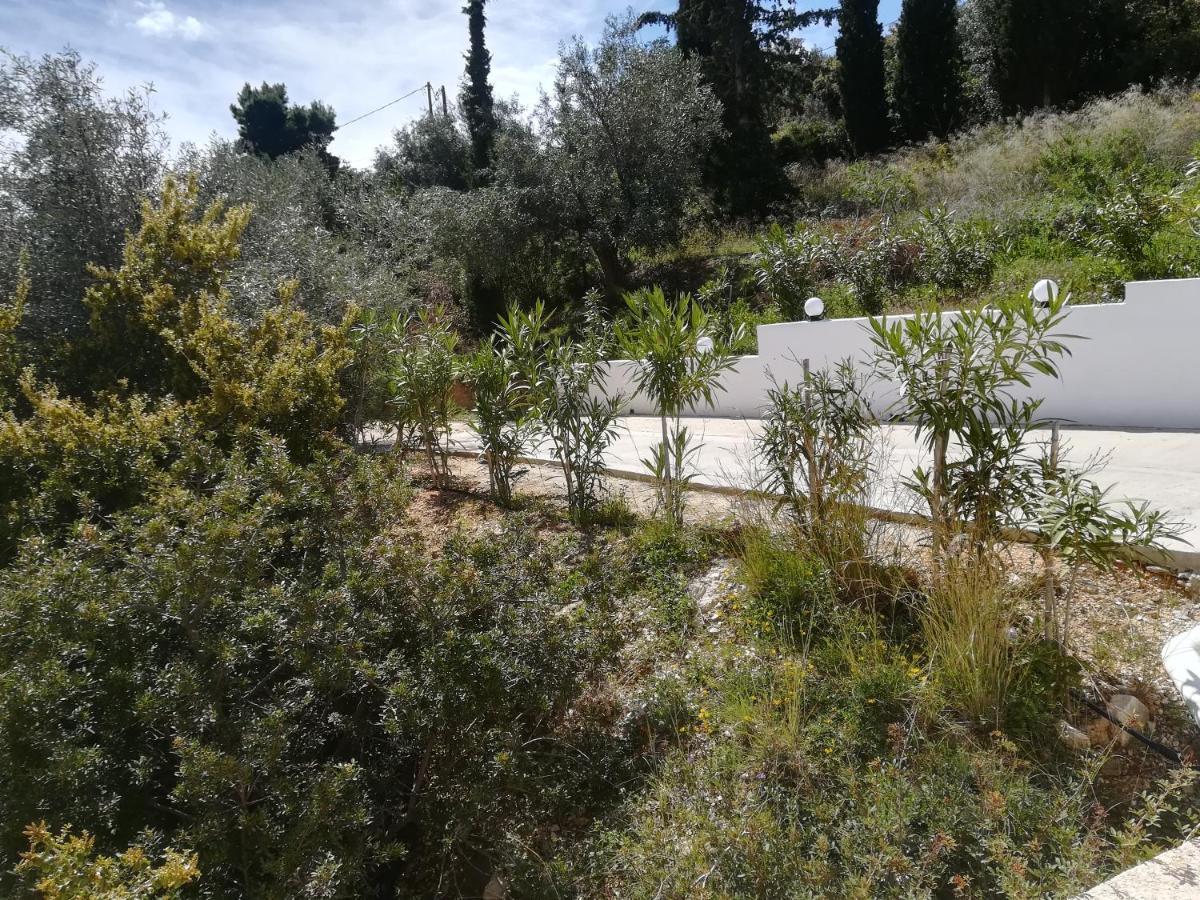 Tolón Stone House In Olive Grove 빌라 외부 사진