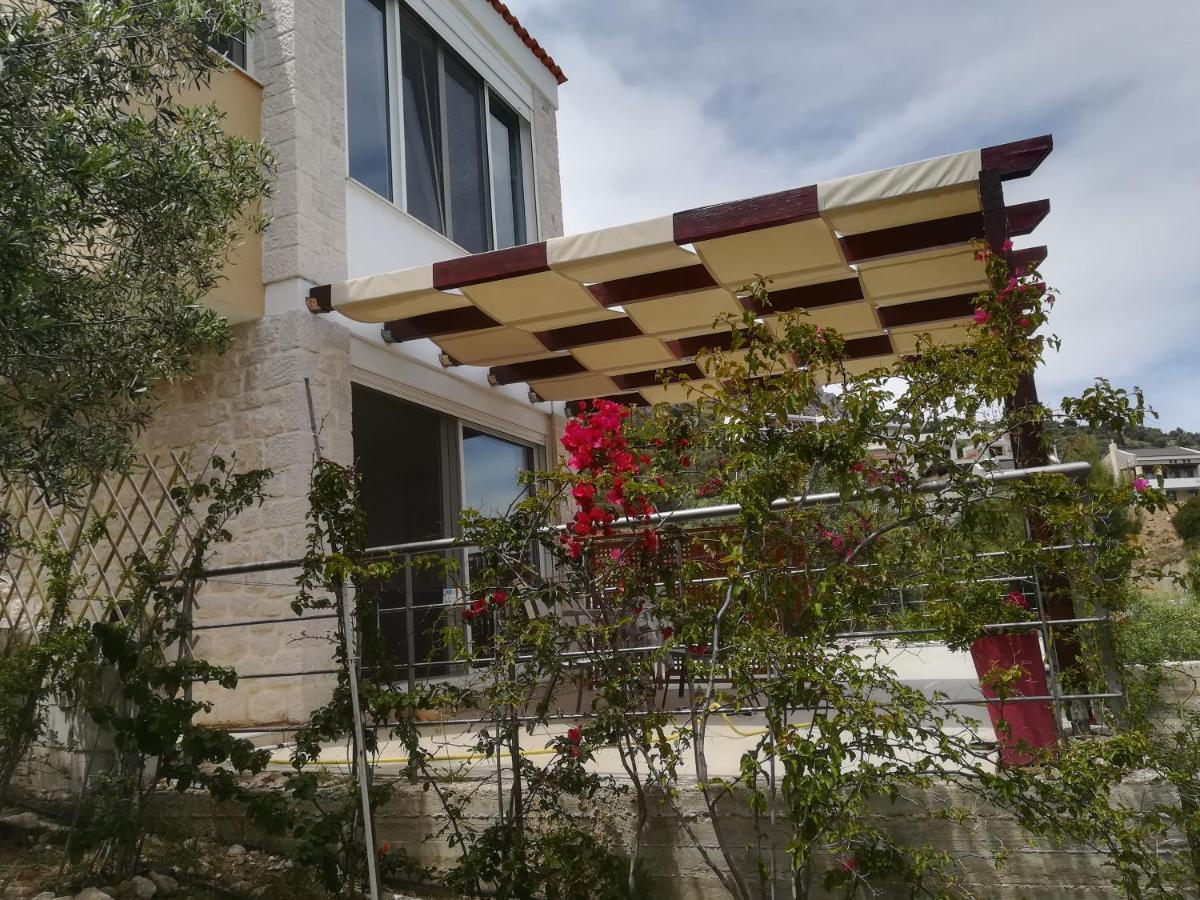 Tolón Stone House In Olive Grove 빌라 외부 사진