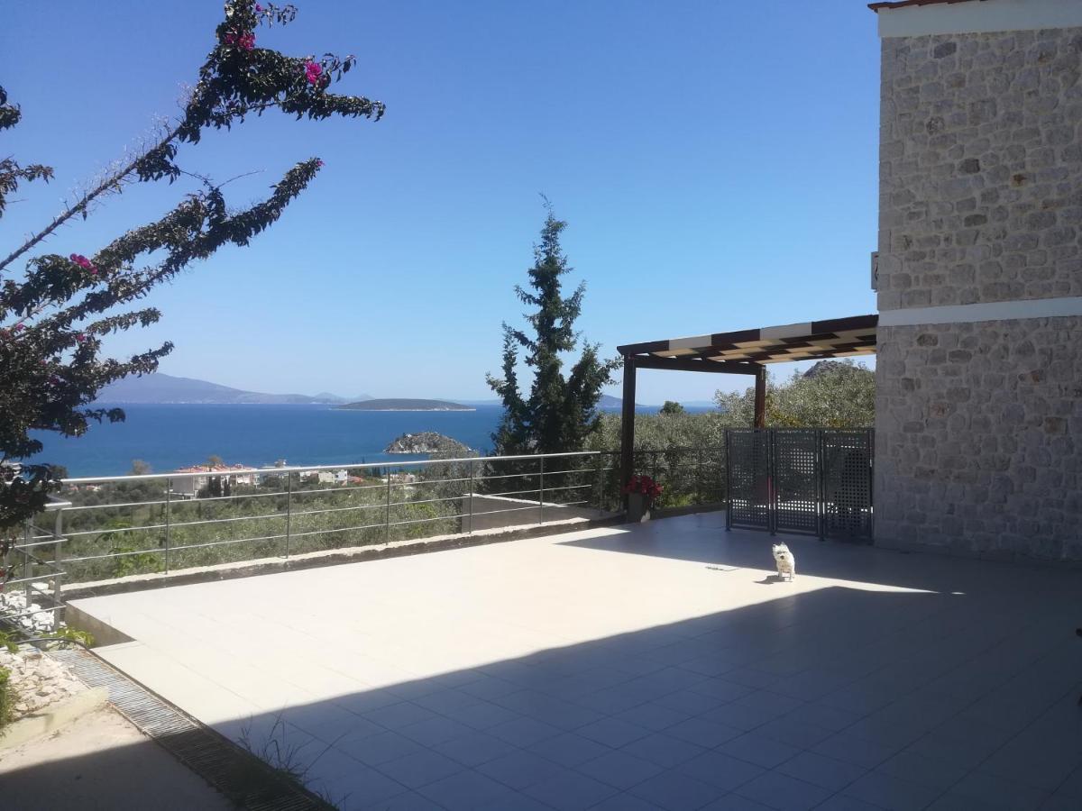 Tolón Stone House In Olive Grove 빌라 외부 사진