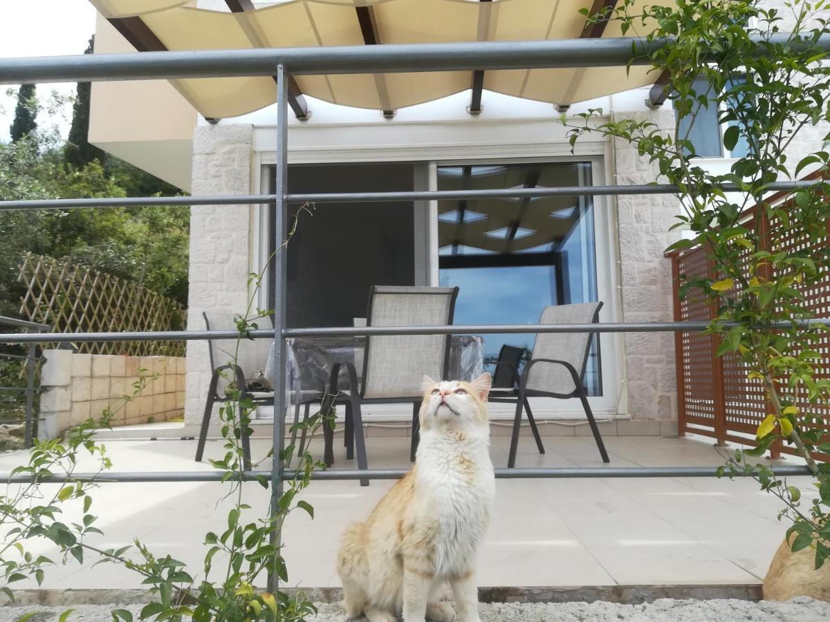Tolón Stone House In Olive Grove 빌라 외부 사진