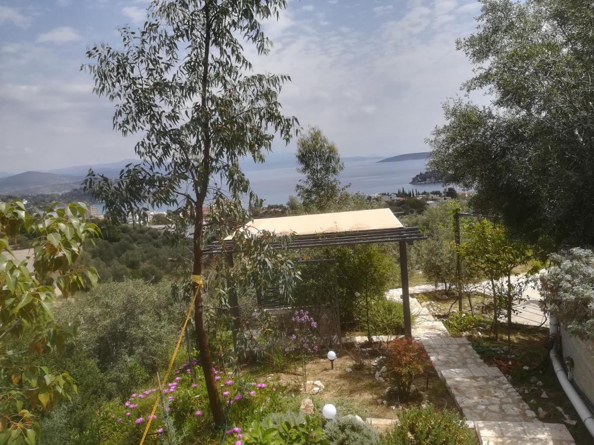 Tolón Stone House In Olive Grove 빌라 외부 사진