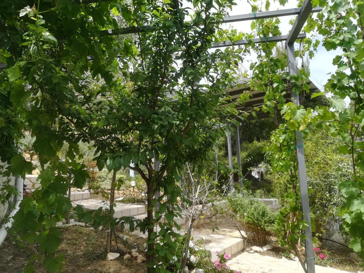 Tolón Stone House In Olive Grove 빌라 외부 사진