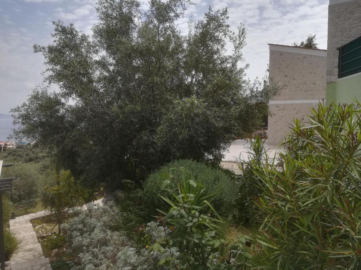 Tolón Stone House In Olive Grove 빌라 외부 사진