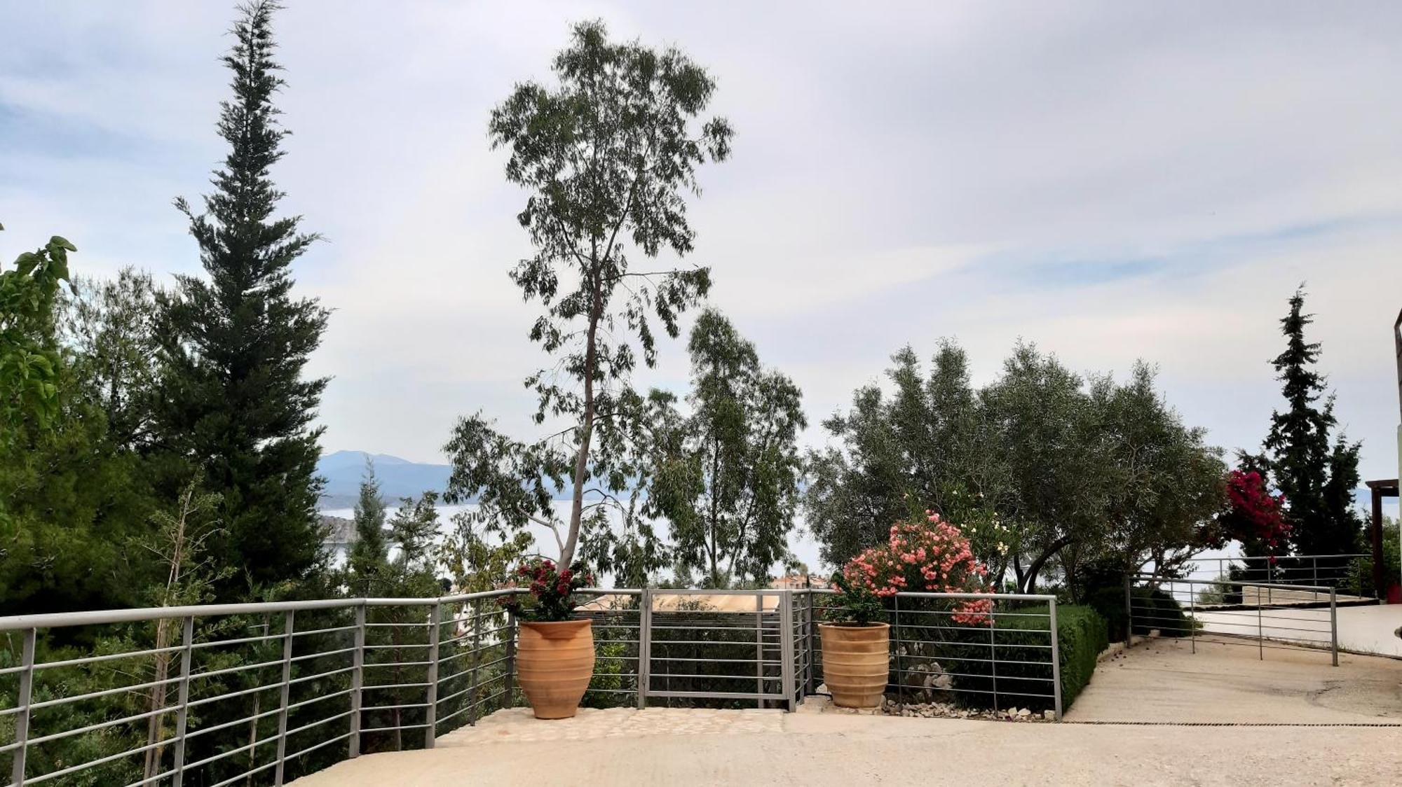 Tolón Stone House In Olive Grove 빌라 외부 사진