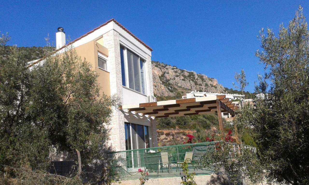 Tolón Stone House In Olive Grove 빌라 외부 사진