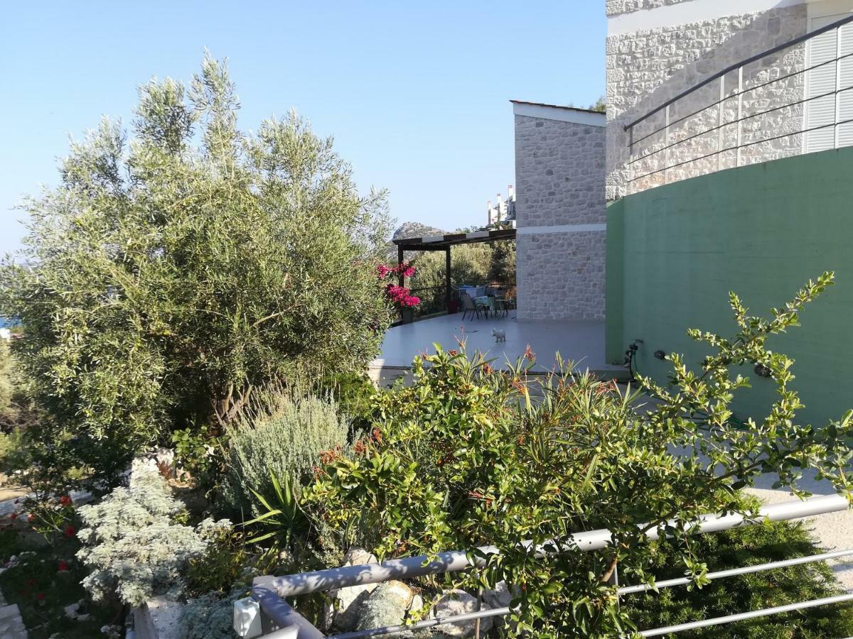 Tolón Stone House In Olive Grove 빌라 외부 사진