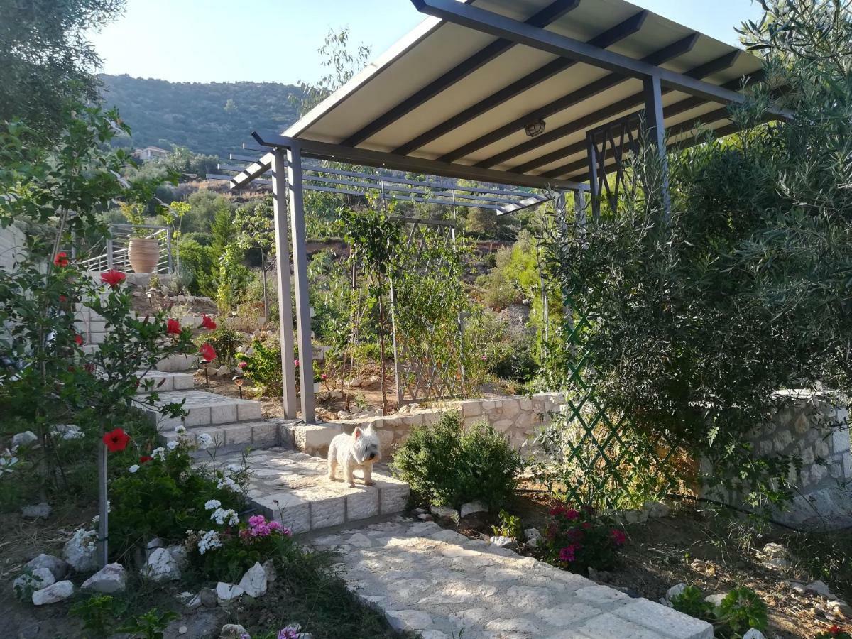 Tolón Stone House In Olive Grove 빌라 외부 사진