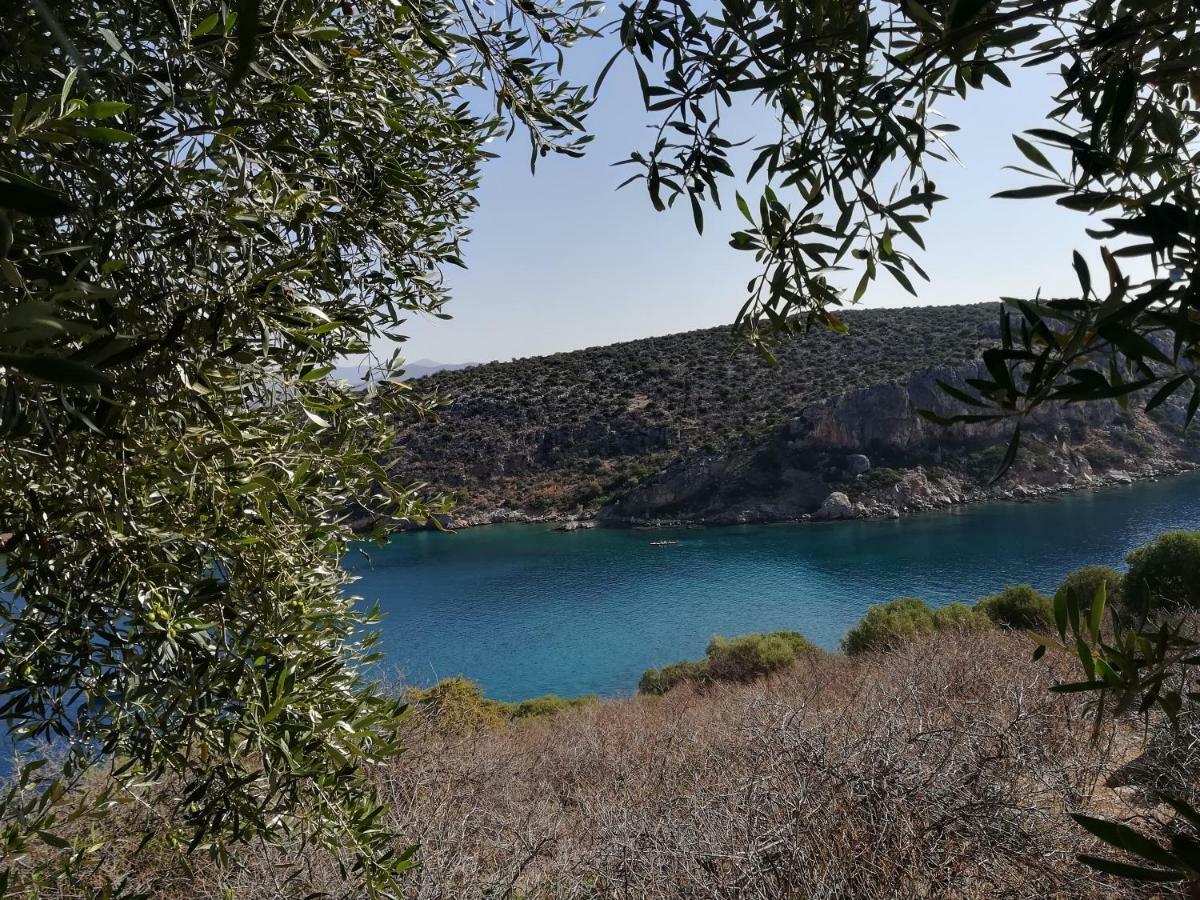 Tolón Stone House In Olive Grove 빌라 외부 사진