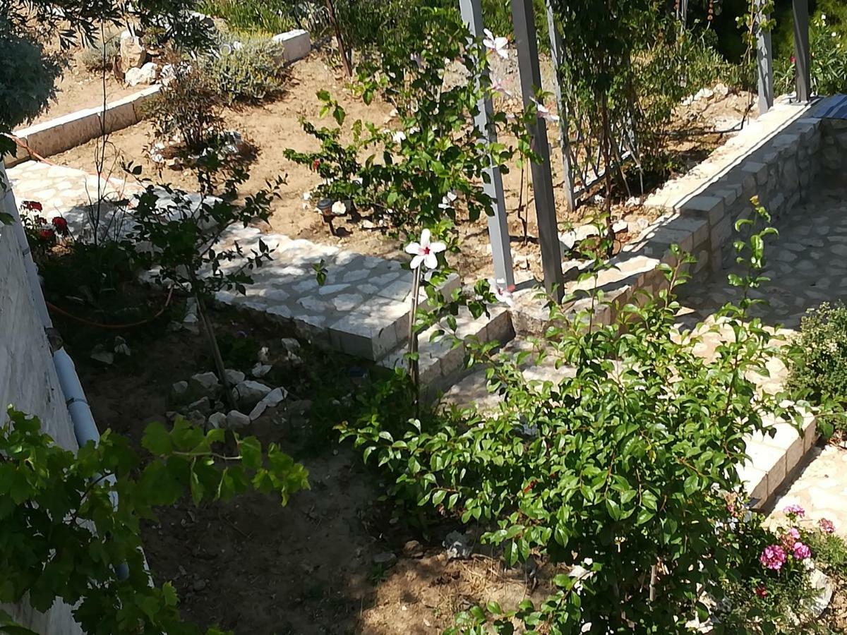 Tolón Stone House In Olive Grove 빌라 외부 사진