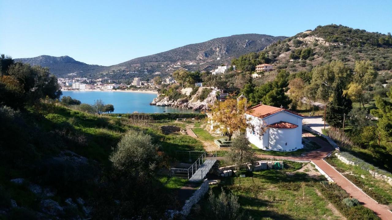 Tolón Stone House In Olive Grove 빌라 외부 사진